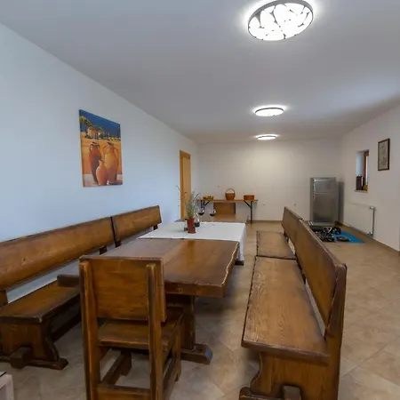 فيلة Celinka Svib