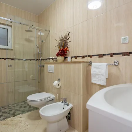 فيلة Celinka Svib